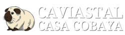 Caviastal Casa Cobaya - Logo transparant - witte tekst